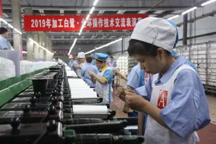 对手更是朋友 两家化纤企业重启同台技术比武，以交流促发展