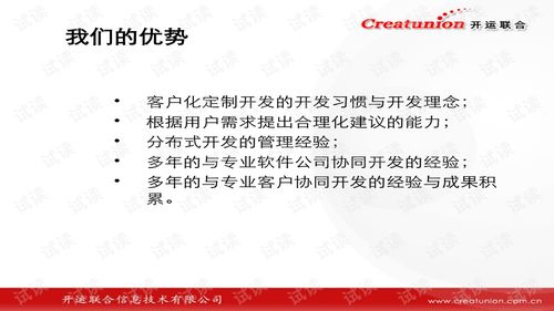 软件外包公司章程